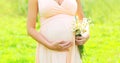 Pregnancy concept - pregnant woman with chamomiles flowers on belly close-up over sunny summer Royalty Free Stock Photo