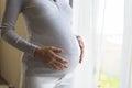 Pregnancy concept, pregnant woman standing near window with hands on belly Royalty Free Stock Photo