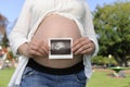 Pregnancy: couple holding ultrasonic image of baby