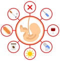 Pregnancy embryo banned products Royalty Free Stock Photo