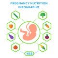 Pregnancy embryo nutrition useful Royalty Free Stock Photo