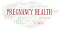 Pregnancy Health word cloud