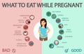 Pregnancy Healthy, Unhealthy Eating Choices Banner Royalty Free Stock Photo