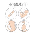 Pregnancy icon set. Linear simple illustration fertilization and childbirth. Motherhood signs. Vector