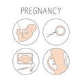 Pregnancy icon set. Linear simple illustration fertilization and childbirth. Motherhood signs. Vector