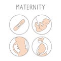 Pregnancy icon set. Linear simple illustration fertilization and childbirth. Motherhood signs. Vector