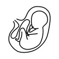 Pregnancy icon. An unborn baby in the womb. Linear stash.