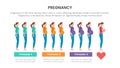 Pregnancy infographic concept for slide presentation with 3 point list data information with trimester process pregnant