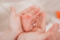 Pregnancy, maternity, preparation and expectation motherhood, giving birth concept. Newborn baby feet in hands of mommy Royalty Free Stock Photo