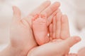 Pregnancy, maternity, preparation and expectation motherhood, giving birth concept. Newborn baby feet in hands of mommy Royalty Free Stock Photo