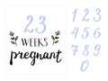 Pregnancy Milestone Cards. beautiful flora frame for the number of weeks of pregnancy. Hand writing lettering week of Pregnancy