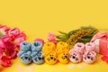 Pregnancy motherhood perenthood concept, Three pairs of baby booties on yellow background, baby shower, first birthday party Royalty Free Stock Photo