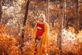 Pregnancy. Motherhood. Pregnant woman hugging her belly enjoying in autumn forest park. Beautiful blond woman in red knit sweater Royalty Free Stock Photo