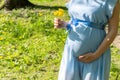 Pregnancy nature woman walk. Happy maternity mother in summer park. Baby belly. Pregnant walking nature. Concept Royalty Free Stock Photo