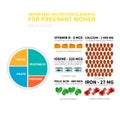 Pregnancy nutrition infographic Royalty Free Stock Photo