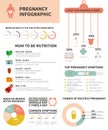 Pregnancy nutrition infographic Royalty Free Stock Photo