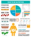 Pregnancy nutrition infographic Royalty Free Stock Photo