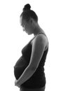 Pregnancy silhouette in BW photo Royalty Free Stock Photo