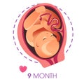 Pregnancy stage 9 month embryo in uterus with umbilical cord vector unborn baby growth Royalty Free Stock Photo