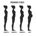 Pregnancy Stages and Birth Infographics Silhouette. Vector. Royalty Free Stock Photo