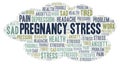 Pregnancy Stress word cloud