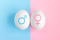 Pregnancy Test. Concept boy or girl. Symbols of man and woman. Gender affiliation concept