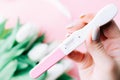 Pregnancy test couple. Positive woman pregnant test in hands with pink silk ribbon on tulips flower pink background. New Royalty Free Stock Photo