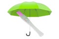 Pregnancy test under umbrella, 3D rendering