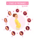 Pregnancy trimester infographic. Human growth stages new born baby development egg embryo fertility vector illustrations