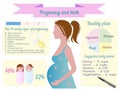 Pregnancy trimester infographic vector