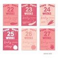 Pregnancy 22-27 weeks Vector design templates for journal cards, Royalty Free Stock Photo