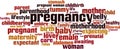 Pregnancy word cloud Royalty Free Stock Photo