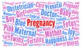Pregnancy word cloud Royalty Free Stock Photo