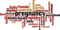 Pregnancy word cloud Royalty Free Stock Photo