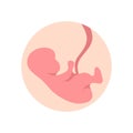 Pregnant baby icon, flat style