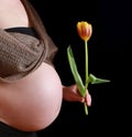 Pregnant beautiful woman with tulip