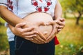 Pregnant Belly with fingers Heart symbol. Beautiful Young Pregnant Woman and Her Husband Together Caressing Her Pregnant Belly. Royalty Free Stock Photo