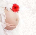 Pregnant Belly Flower, Woman Pregnancy Maternity Concept Royalty Free Stock Photo