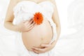 Pregnant Belly Flower, Woman Pregnancy, Mother Stomach Skin Royalty Free Stock Photo