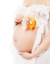 Pregnant belly, pregnancy woman stomach with flower Royalty Free Stock Photo