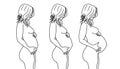 pregnant belly progression line art illustration