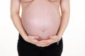 Pregnant belly woman topless view in white background Royalty Free Stock Photo