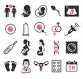 Pregnant icons set. Vector illustration.