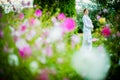 Pregnant country women in a white dress walks in the garden Royalty Free Stock Photo