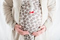 Pregnant feemale Royalty Free Stock Photo