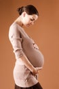 Pregnant female Royalty Free Stock Photo