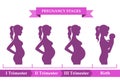 Pregnant female silhouettes