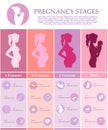 Pregnant female silhouettes