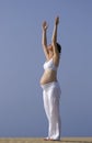 Pregnant girl on the beach Royalty Free Stock Photo