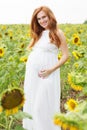 Pregnant girl in the field with sunflowers Royalty Free Stock Photo